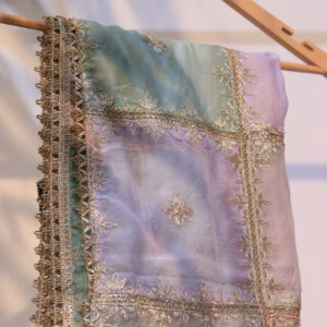 Tissue Hand-Embroidered Multicolor Pastel Dupatta