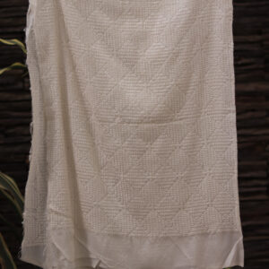 Dyeable Self-Embroidered Georgette Fabric